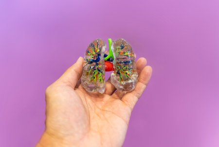 hand with object in shape of medically accurate a human heart printed on 3d printerの写真素材