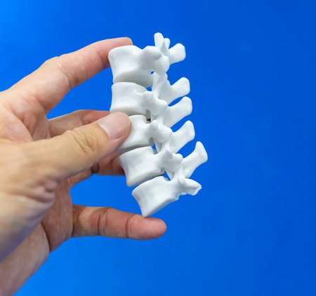hand with 3d printed human spine in 3d printer.の写真素材
