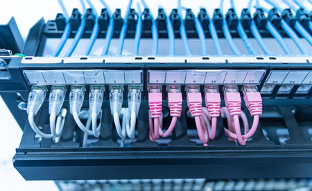 Network panel, switch and colorful cable in data centerの写真素材