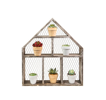 wooden house shelf with Miniature succulent plants isolated on whiteの写真素材