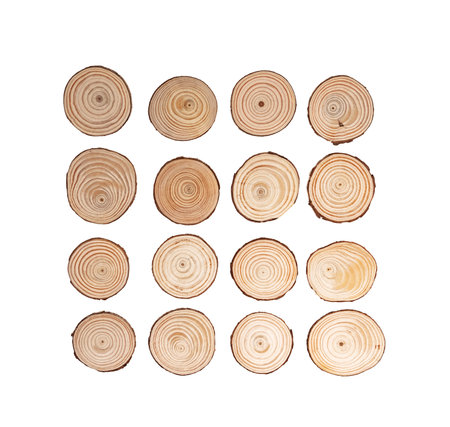 round wood textured background for decorationの写真素材