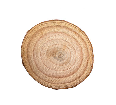 round wood textured background for decoration isolated on whiteの写真素材
