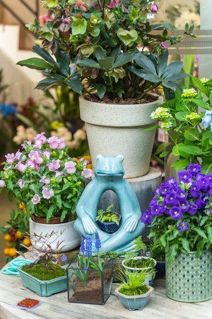 Blooming flowers in garden with statueの写真素材