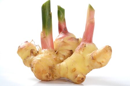 Fresh Ginger Root Spicy Food Ingredient Fragrant White Backgroud