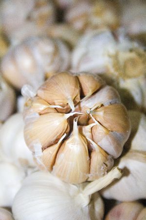 close up view of white onionsの写真素材