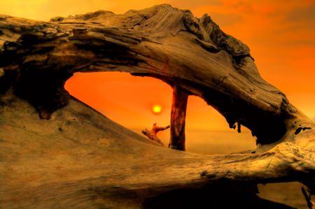 Timber with sunset backgroundの写真素材