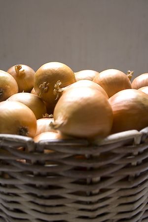Big Onionsの写真素材