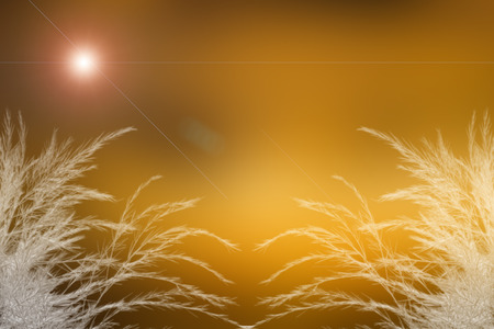 abstract backgroundのイラスト素材