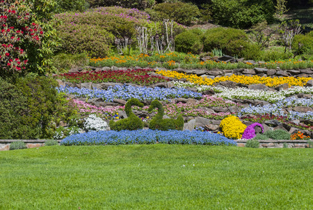 Villa Carlotta garden, Lake Como, Italy.の写真素材