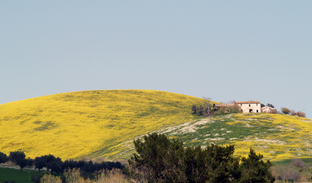 Farm in the italian campaignの写真素材