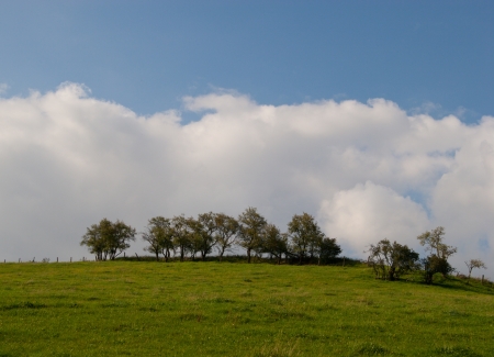 photo of trees on a green hill against the skyの写真素材