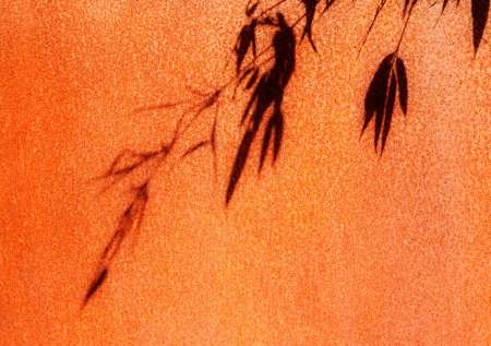 The shadow of the branches on the rusty metal surfaceの写真素材