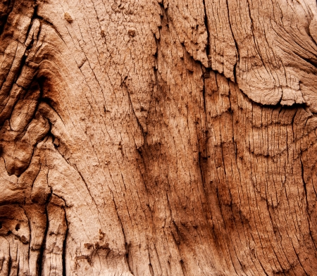 Abstract texture of dry and old wood surfaceの写真素材