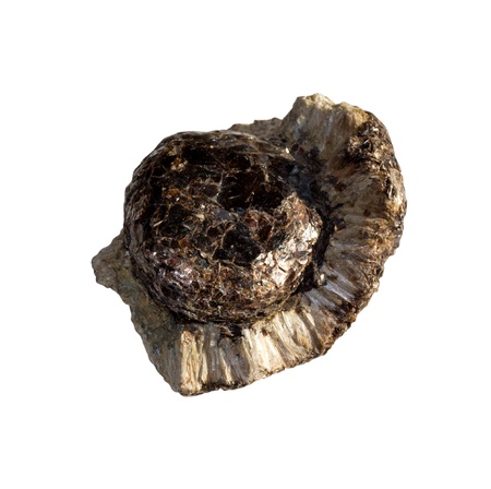 Mineral  Anthophyllite  on a white background