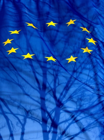  A European Union flag with the silhouette of a shadow tree and branches