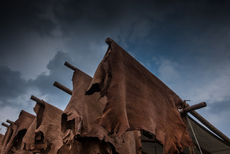 Crafted leather hanging on the beams in the tanneryの写真素材