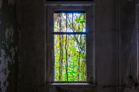 The old and ruined widow of a building, lost places
