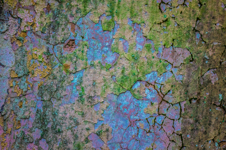 The old and cracked wall of a building, lost places.の写真素材