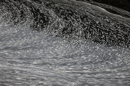 The foam on water surface of a pond.