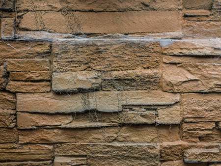 The spiderweb  on an old brick wall .の写真素材