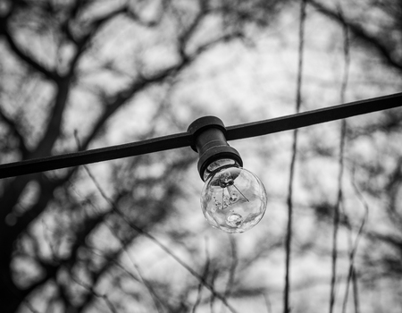 Lighting light bulb on the cable against sky .