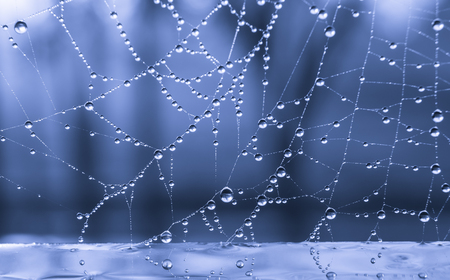 The dewdrops on a spiderweb at morning .の写真素材