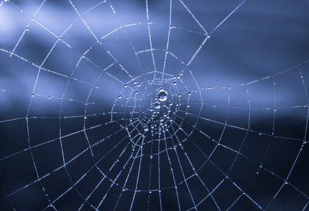The dewdrops on a spiderweb at morning .の写真素材