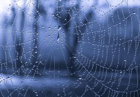 The dewdrops on a spiderweb at morning .の写真素材