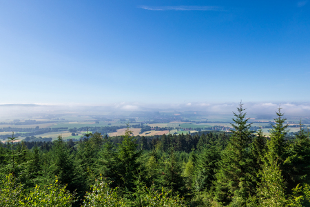 The landscape of forest in Germany .の写真素材