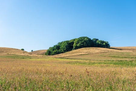 The landscape on island Ruegen, Germany .の写真素材