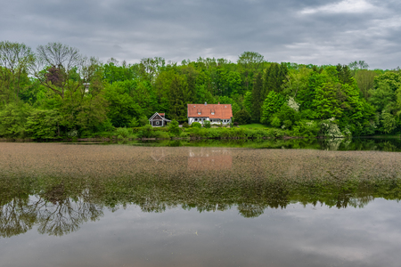 Pond  in Teutoburg Forest nearby Externsteine rocks, Germany .の写真素材
