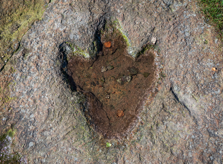 The footprint of dinosaur on a rock .の写真素材