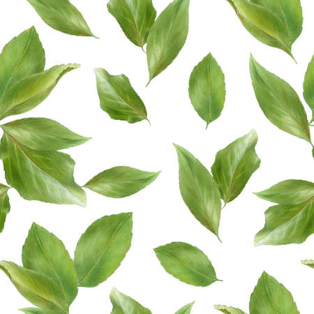 Pattern with green apricot leaves, watercolor illustration. high quality illustration