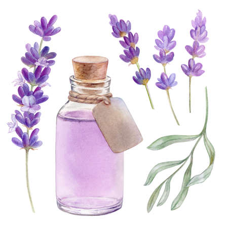 Oil and lavender flowers, watercolor illustration. high quality illustrationの写真素材