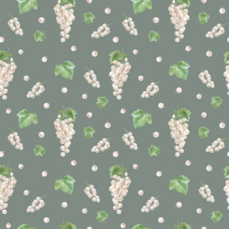 Pattern with berries and leaves of white currant, watercolor illustration. high quality illustrationの写真素材