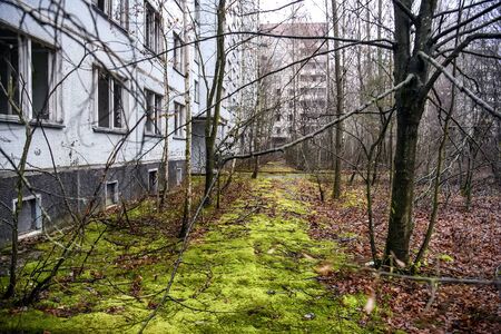 Abandoned ghost town Prypiat. Overgrown trees and collapsing buildings in Chornobyl exclusion zone.