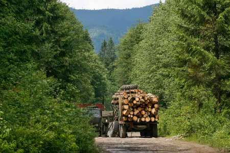 A timber truck carries timber in the Carpathian Mountains, Ukraine. Deforestation in Ukraine.の写真素材