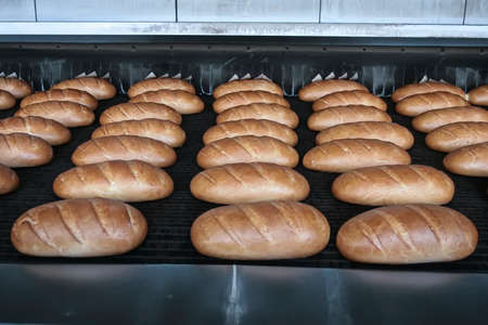 Fresh hot baked breads on the production line at the bakery in Kyiv, Ukraine. July 2008. High quality photoの写真素材
