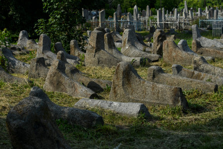 The old Jewish cemetery in Berdychiv, Ukraine, July 2023. High quality photoの写真素材