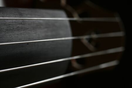 Close-up of double bass, wooden musical instrument that is playing with a bowの写真素材
