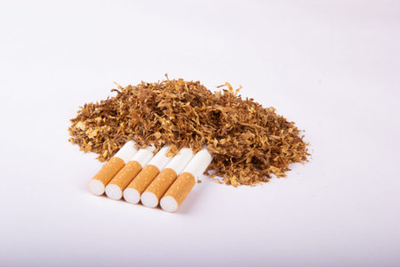 Cigarettes and tobacco on a light background.