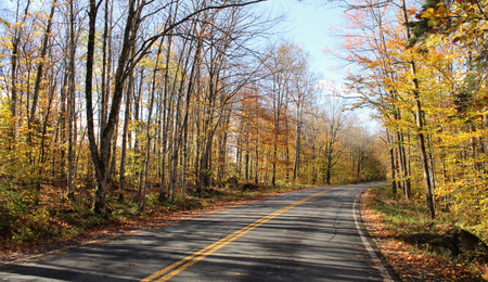 Fall Color in Vermontの写真素材