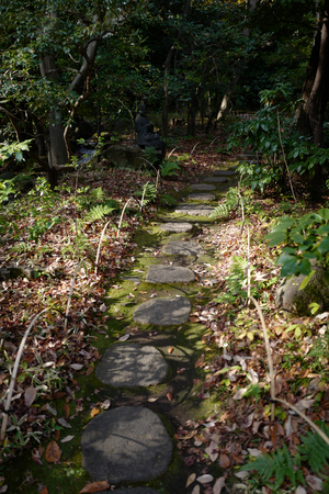 stone path in gardenの写真素材
