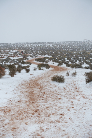 Trail to horseshoe bend.の写真素材
