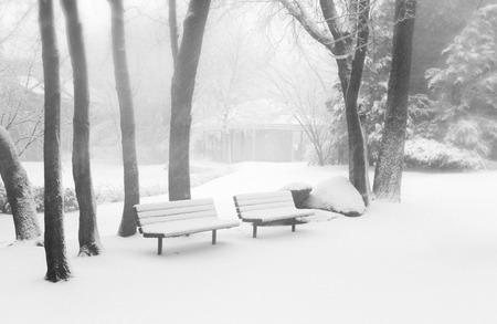 winter scenery in parkの写真素材