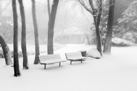 winter scenery in parkの写真素材