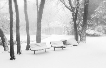 Snow day in winterの素材