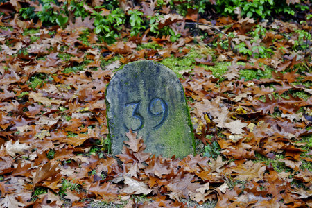 Landmark with the number 39 on a field in autumnの写真素材