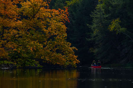 Family in canoe paddle around large orange colored tree on a stream, river, lake, pond, in Maine fall color.の写真素材