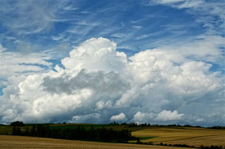 Wide open sky with clouds and crop field belowの写真素材